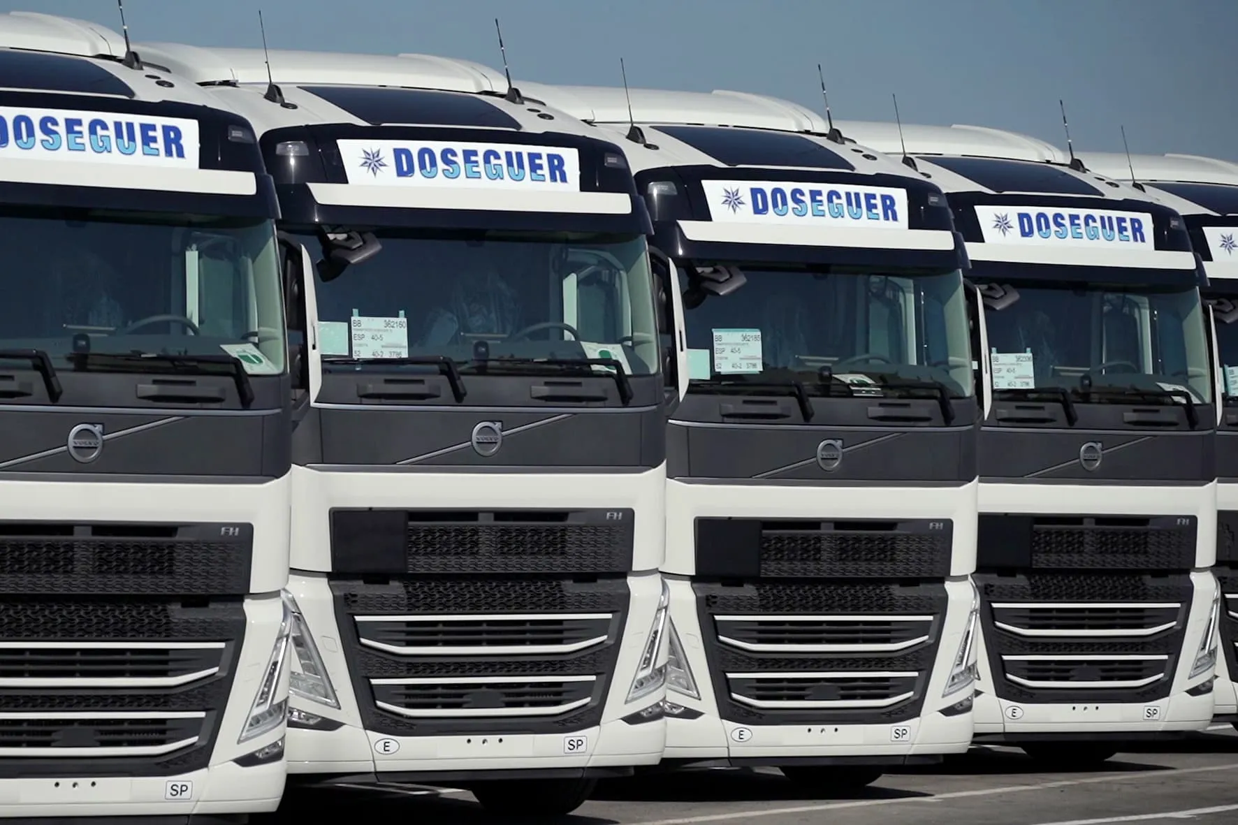 Doseguer refrigerated fleet at the depot